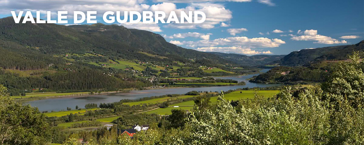 Imagen de Hallingdal